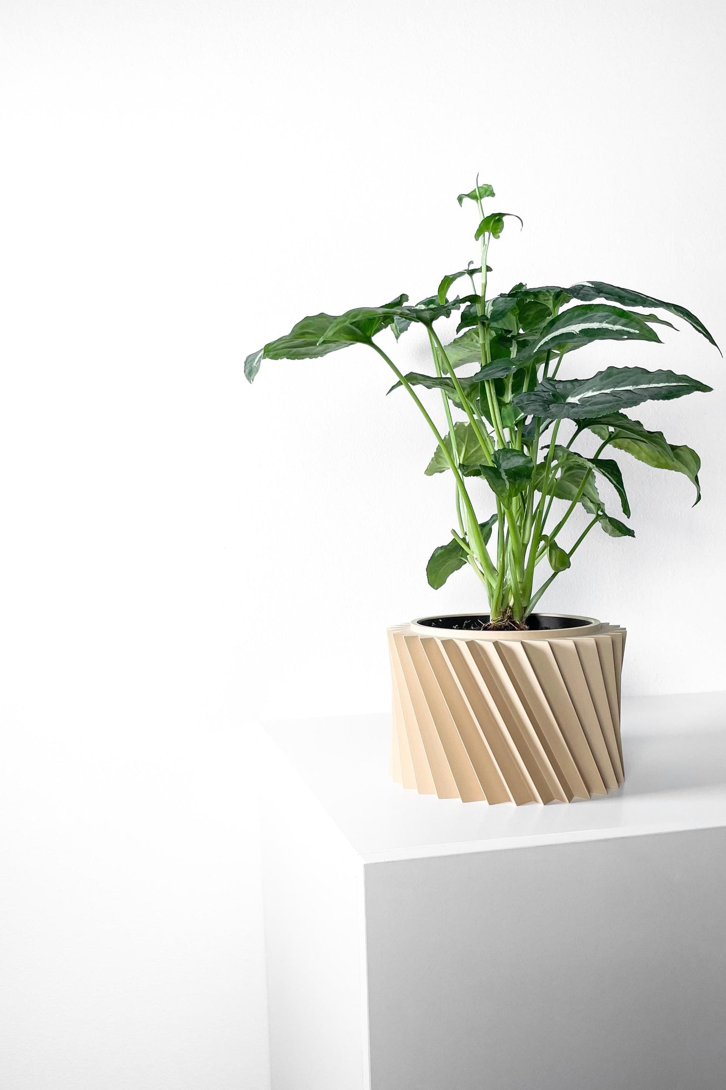The Wiron Planter