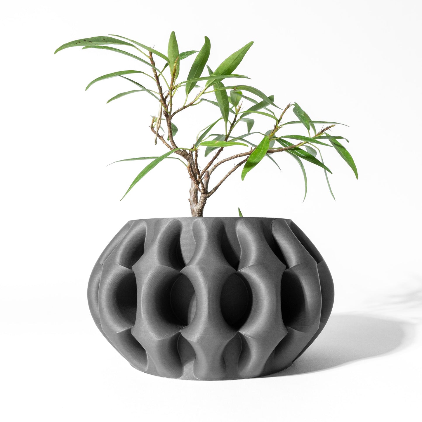 The Xiomu Planter