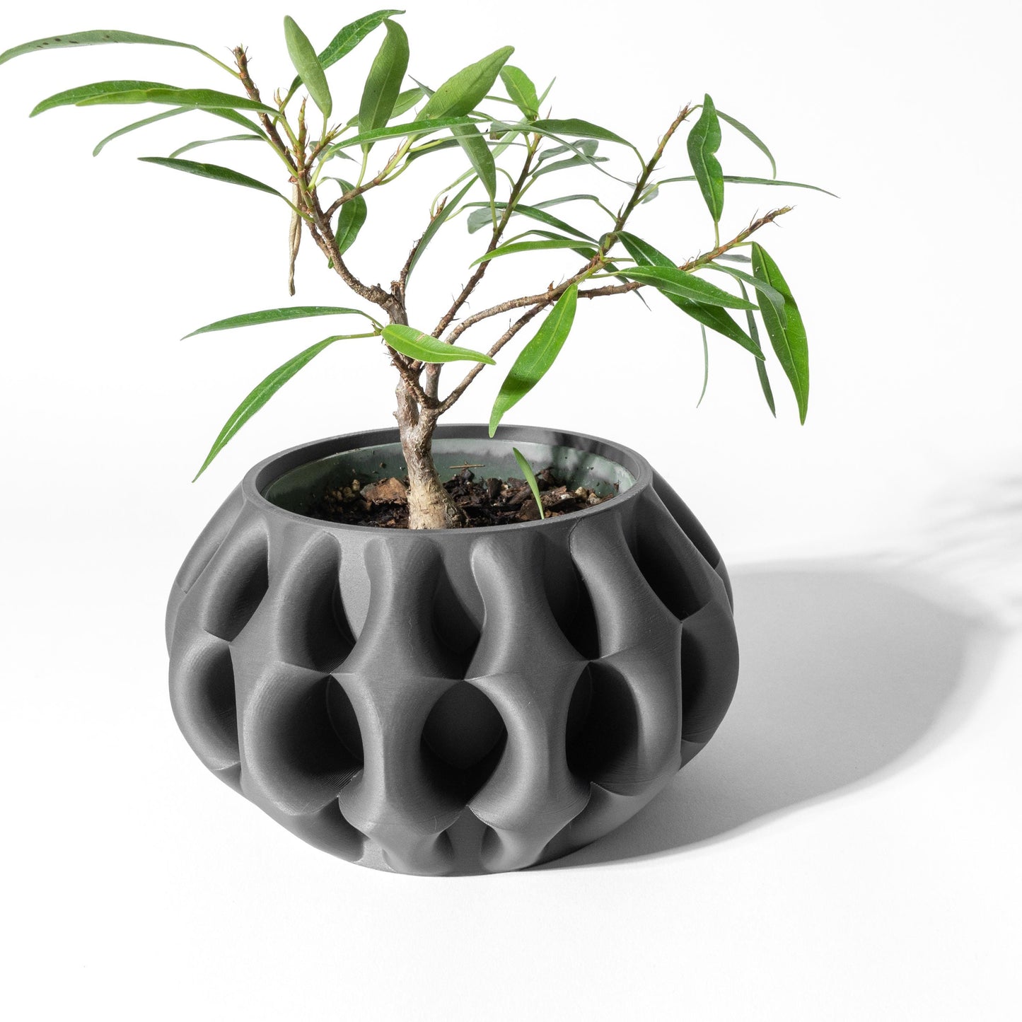 The Xiomu Planter