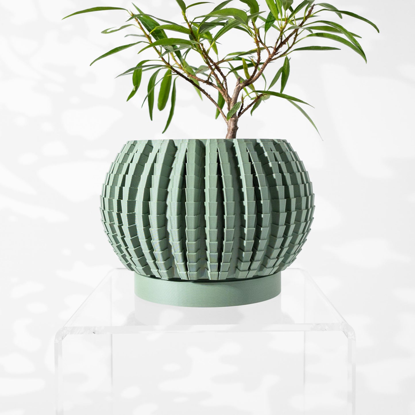The Uralo Planter