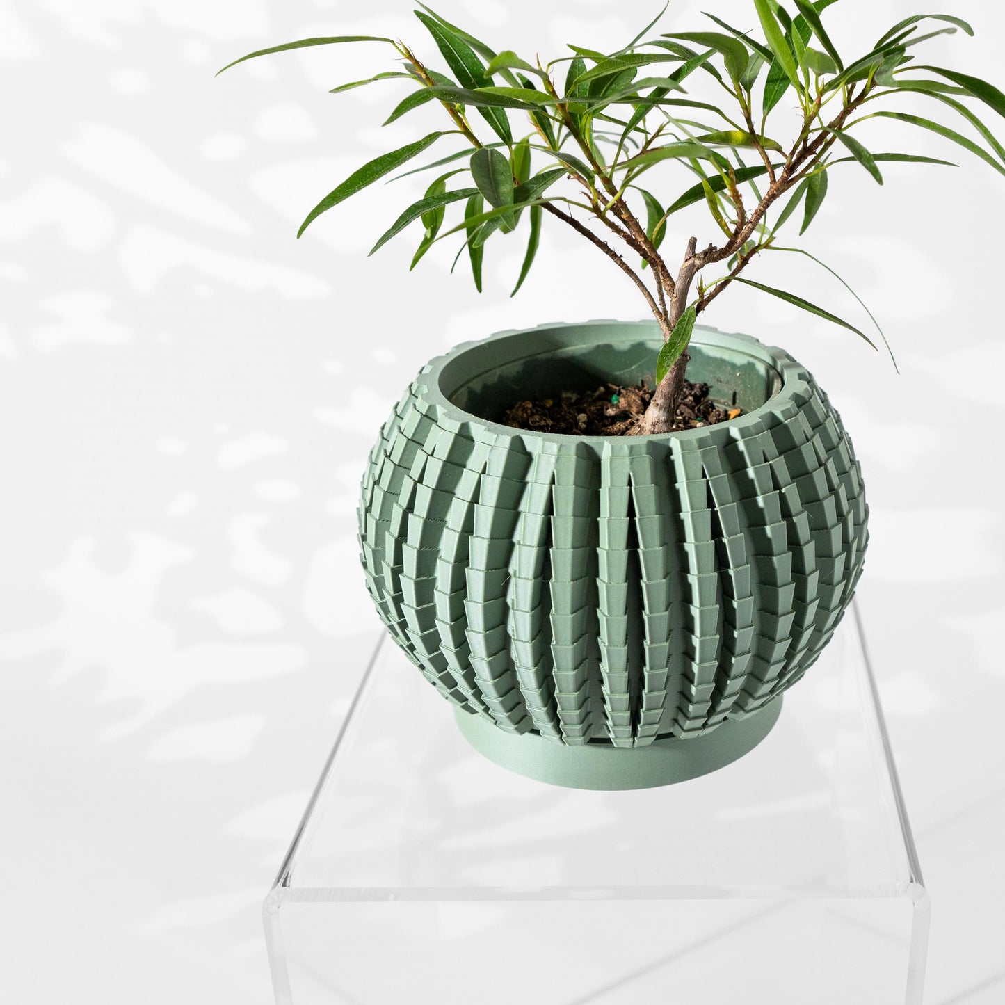 The Uralo Planter