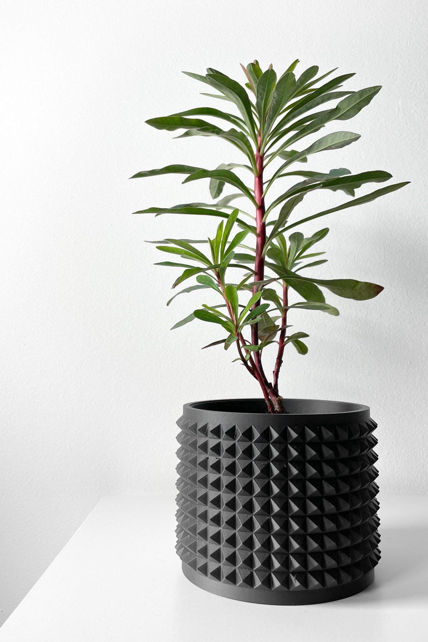 The Jute Planter