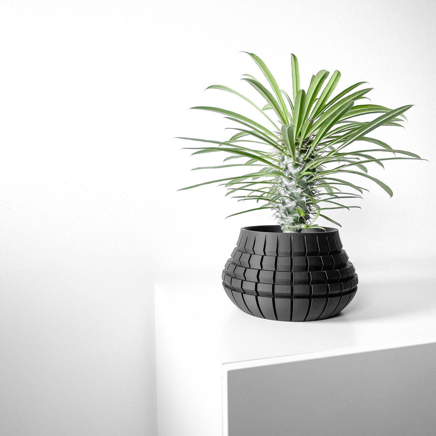 The Ivane Planter
