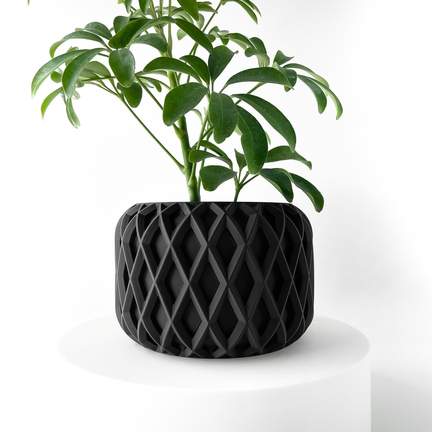 The Kinao Planter