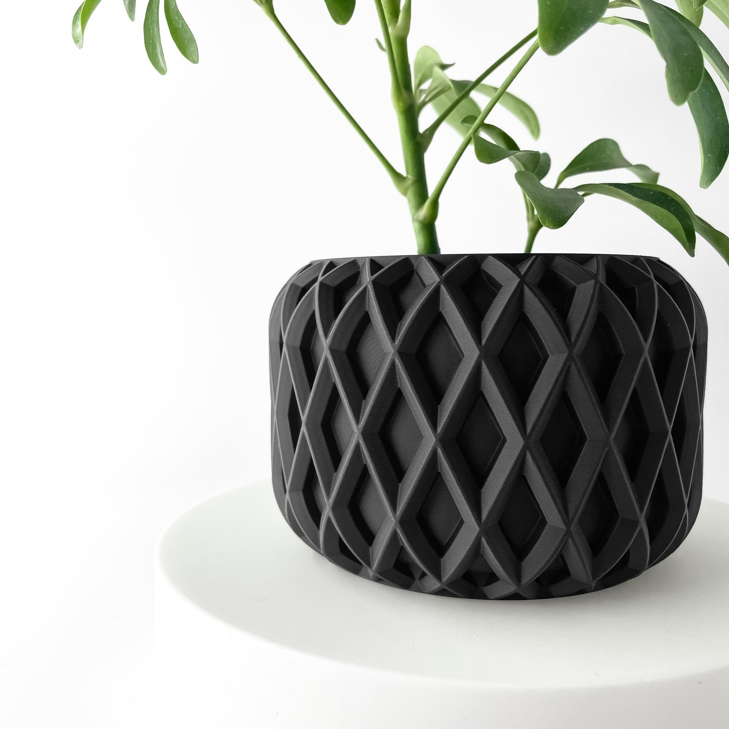 The Kinao Planter