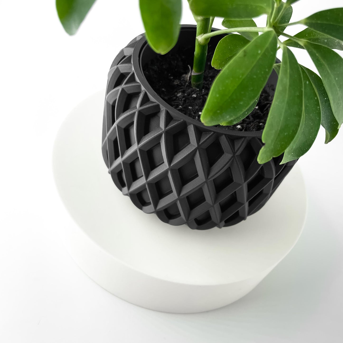The Kinao Planter