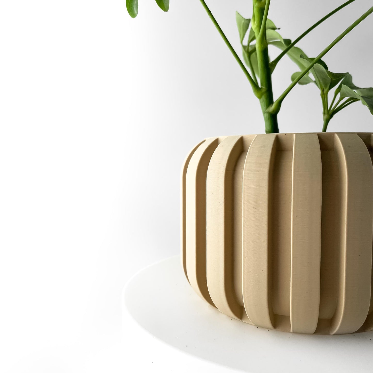 The Panu Planter