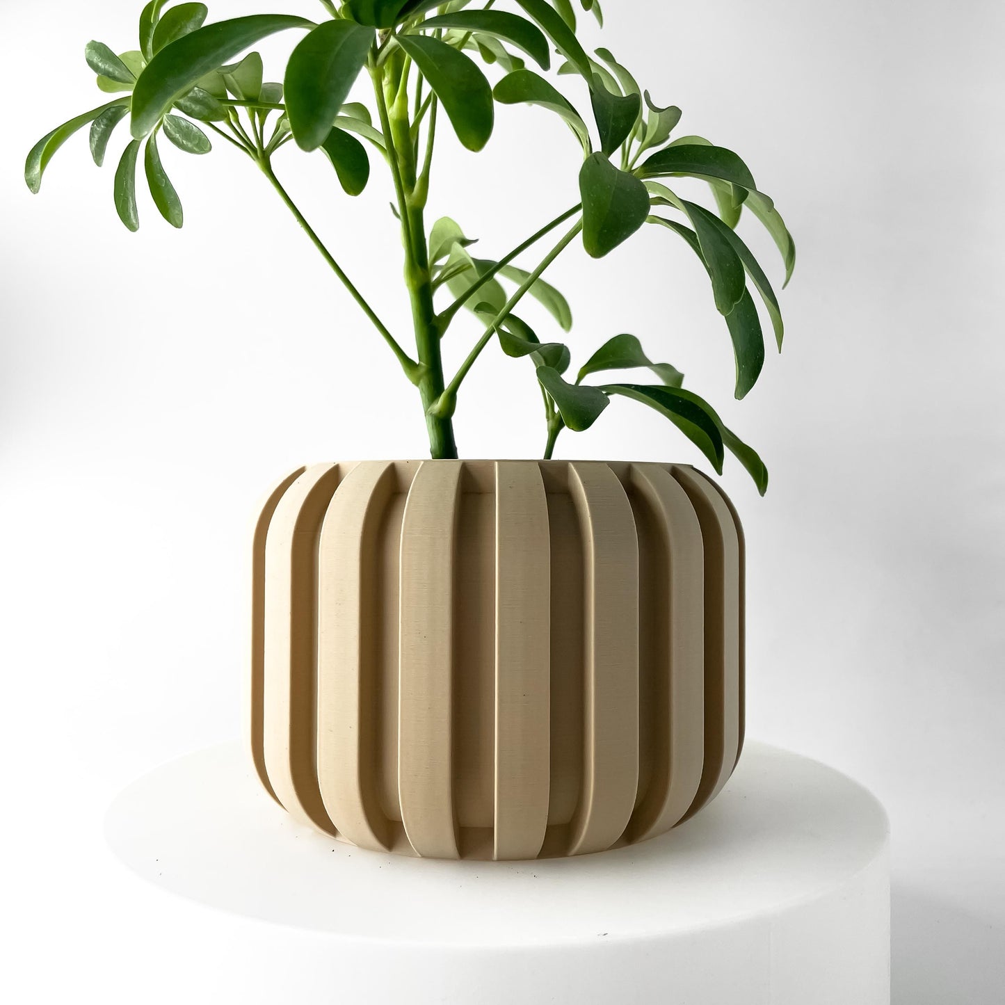The Panu Planter