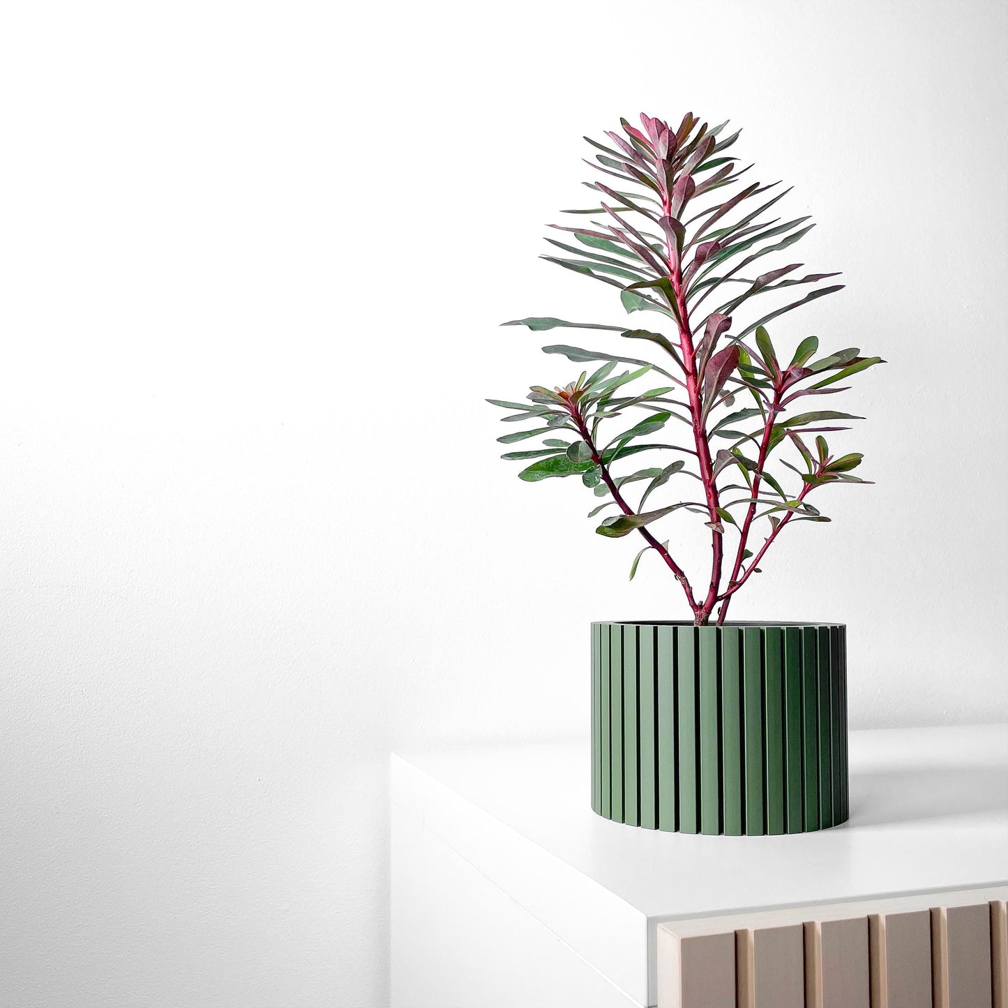 The Zelno Planter