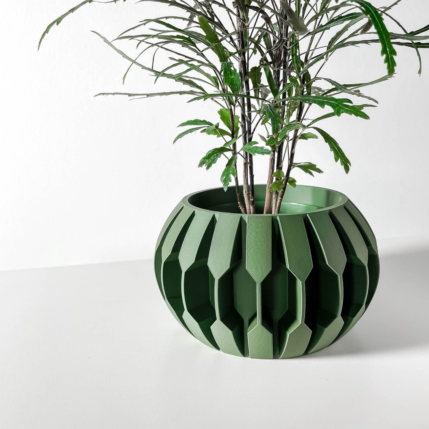 The Gervi Planter