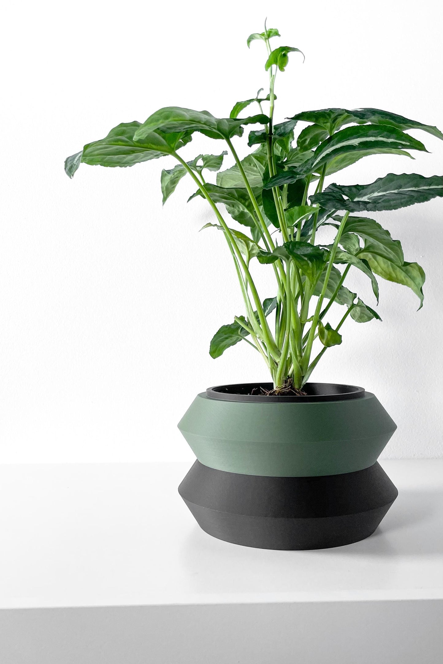 The Grafel Planter