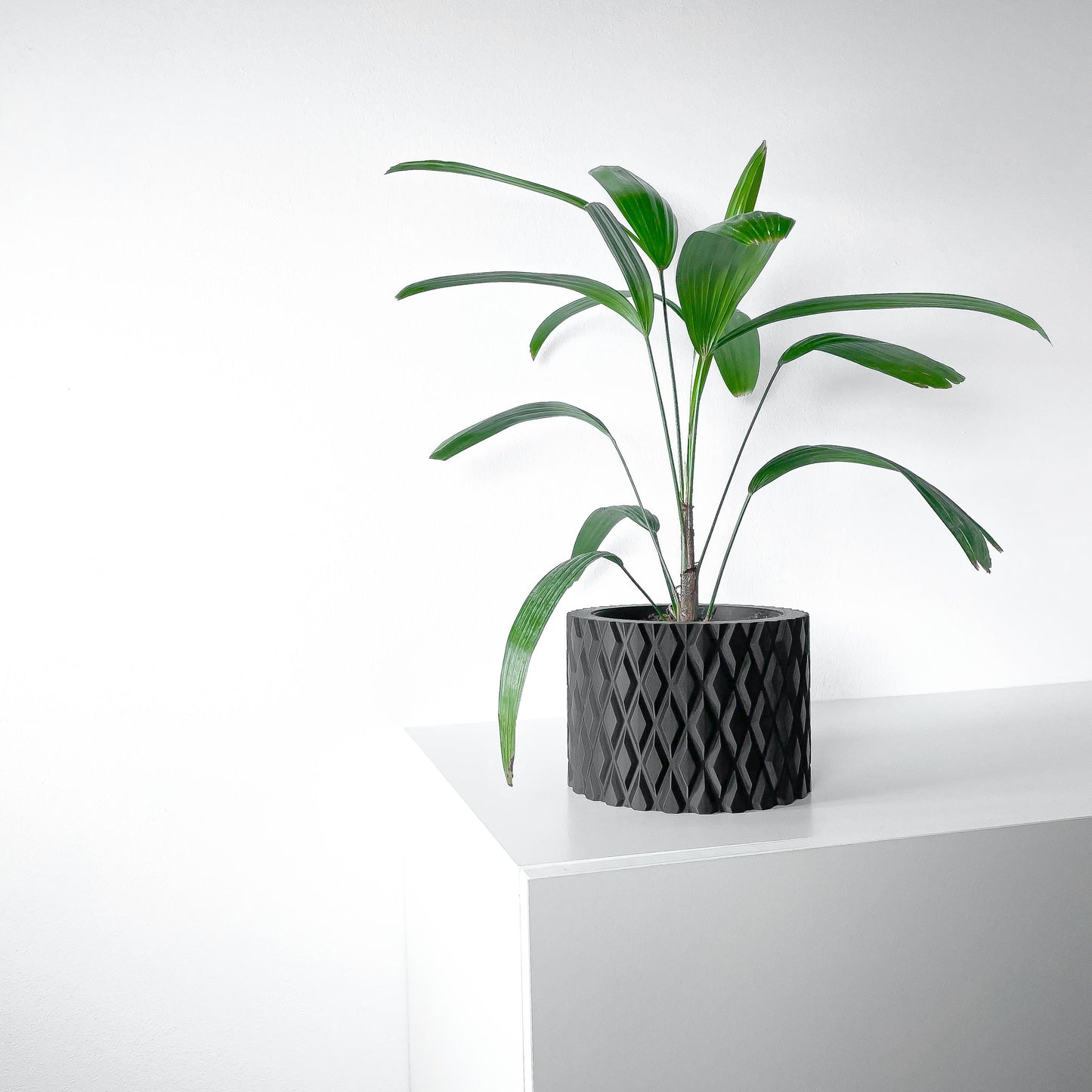 The Pexil Planter