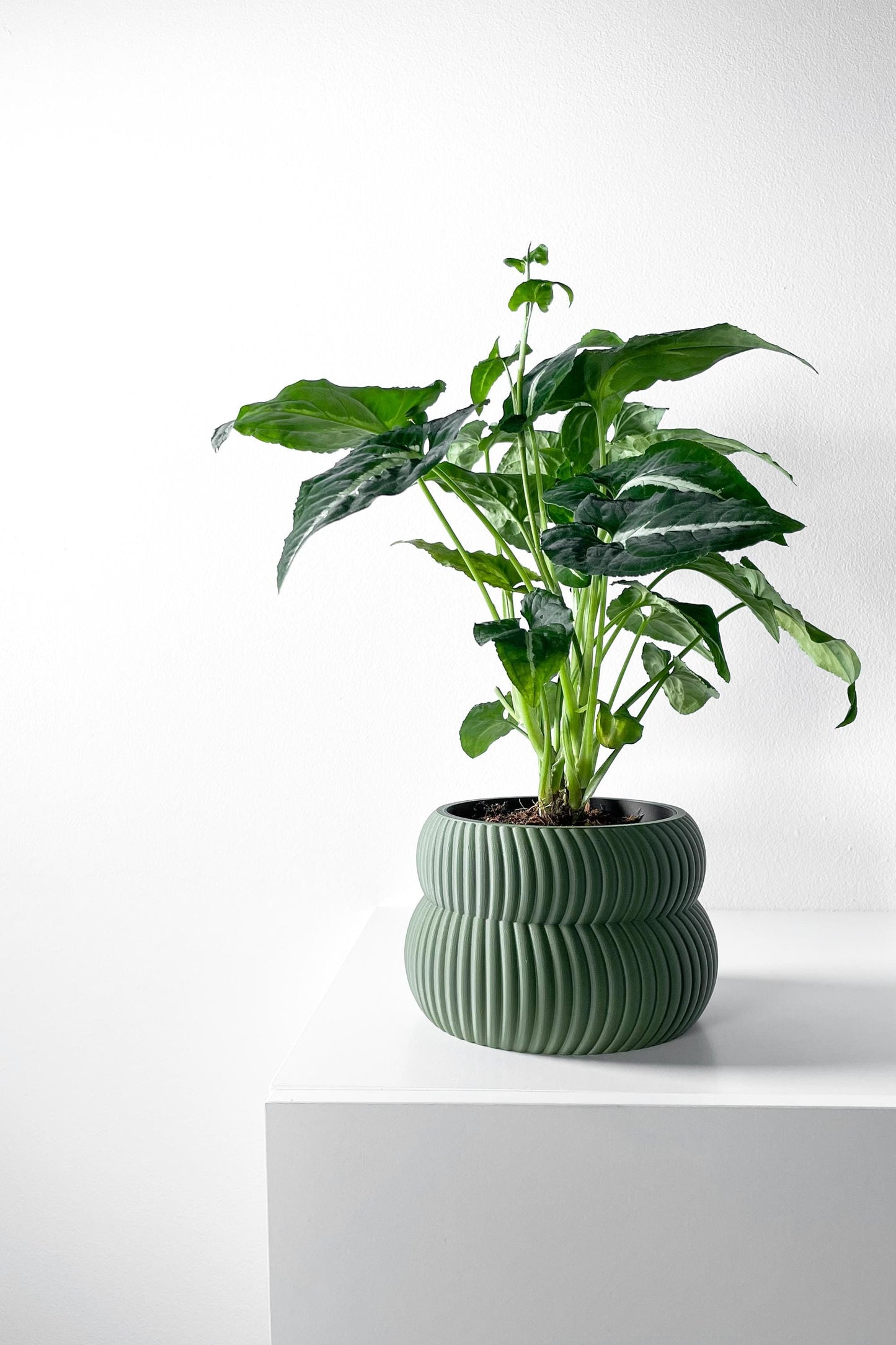 The Quarn Planter