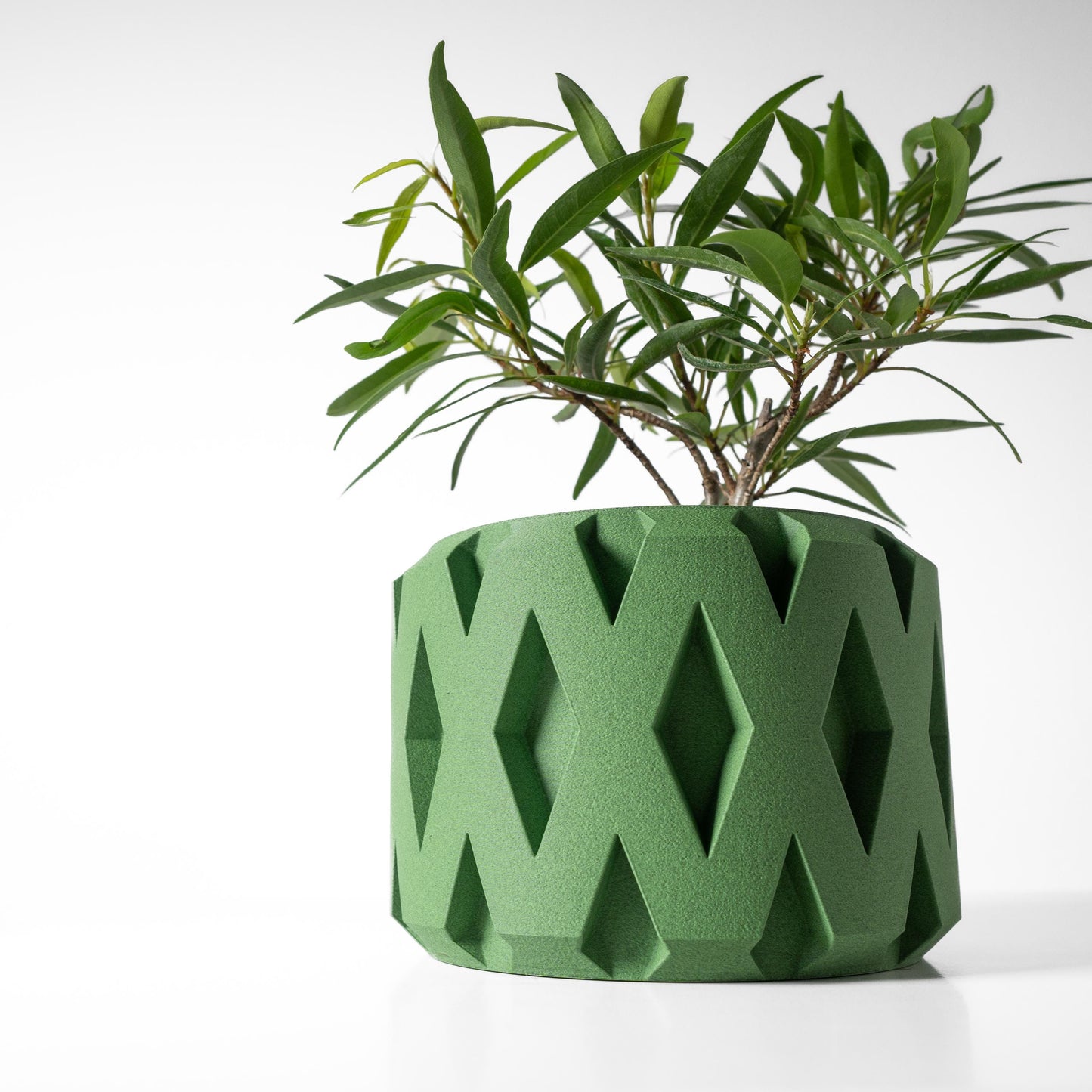 The Rano Planter