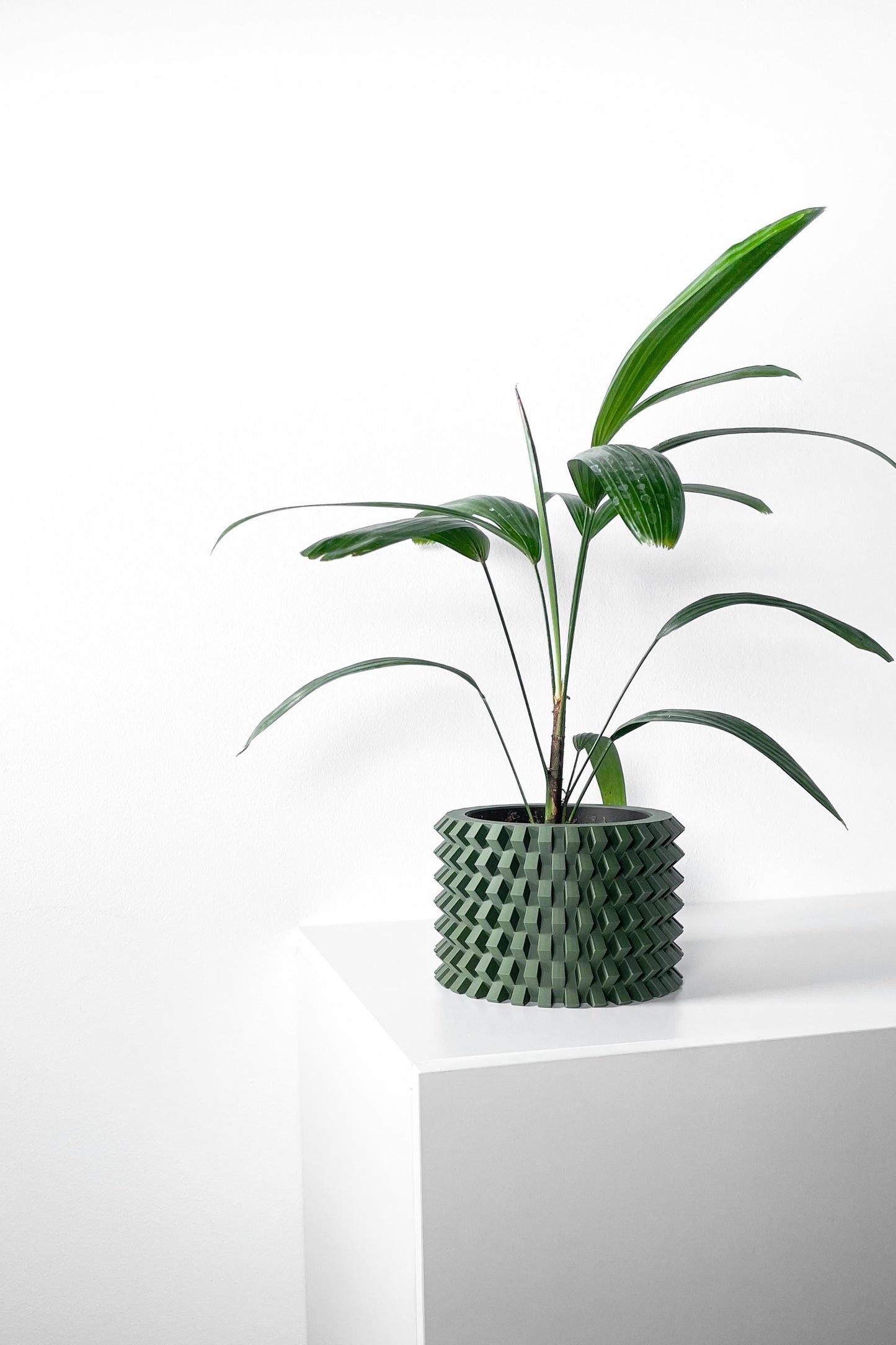 The Rilvo Planter