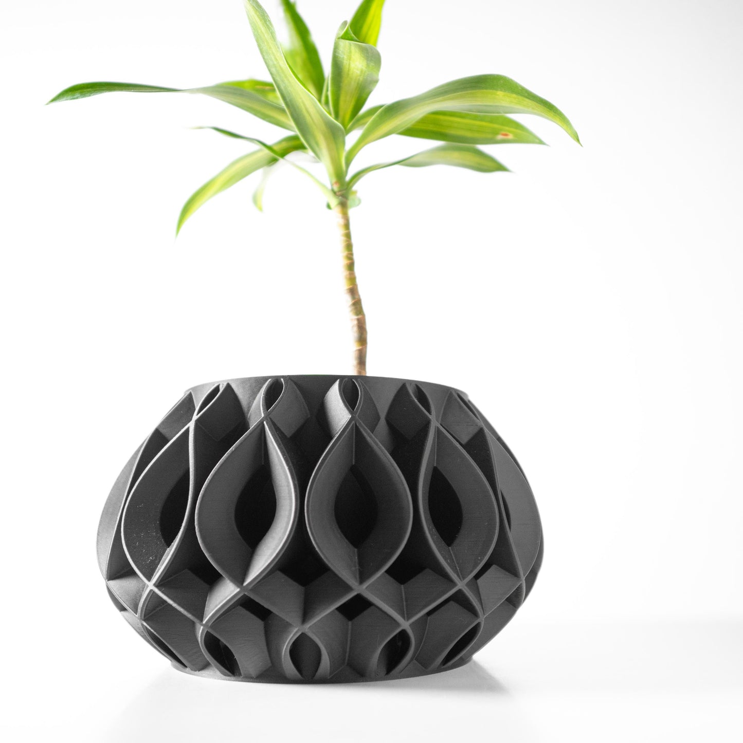 The Viris Planter