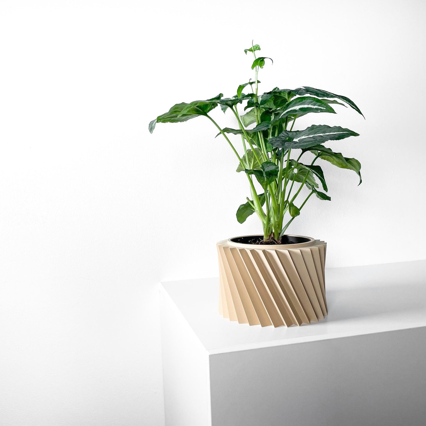 The Wiron Planter