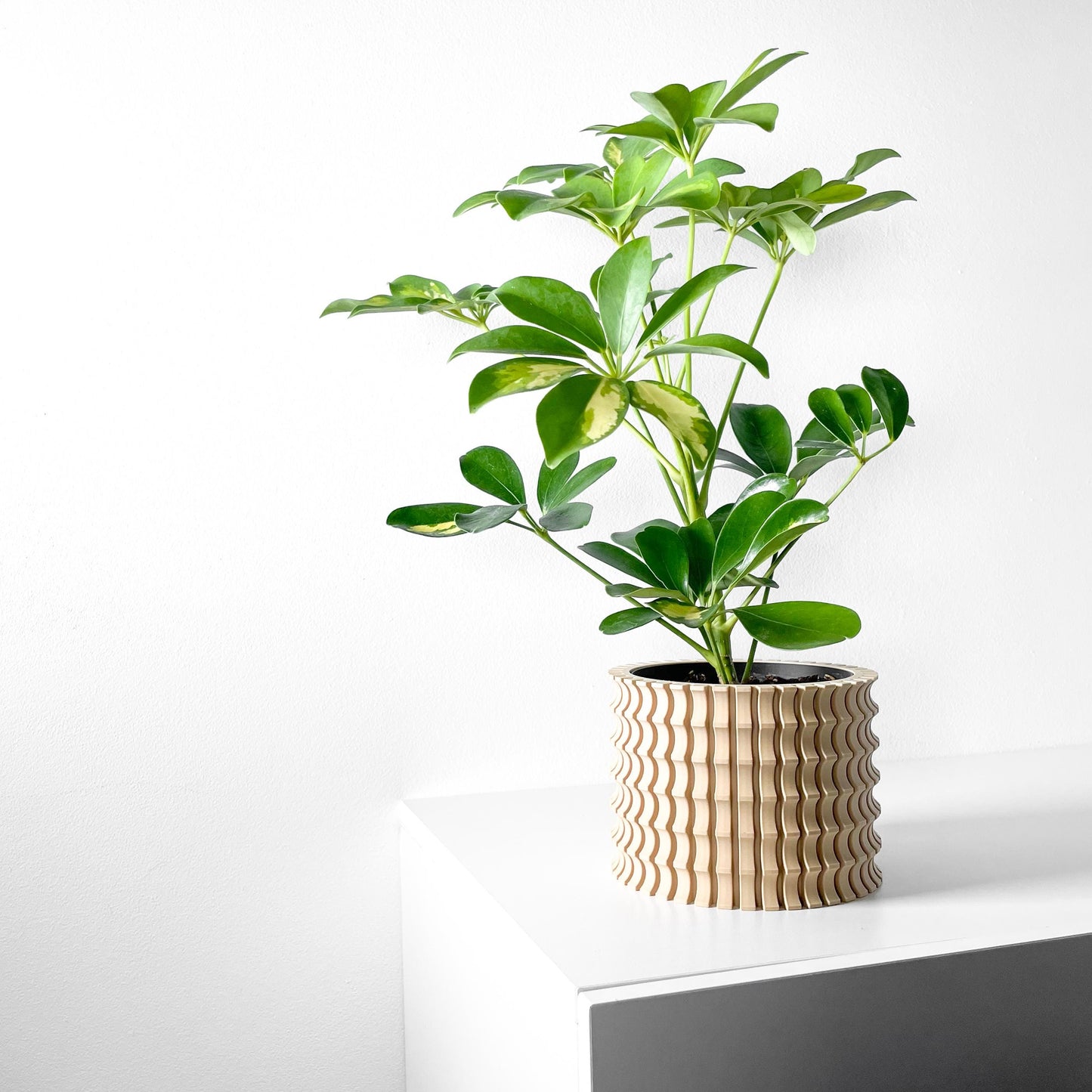 The Tulam Planter