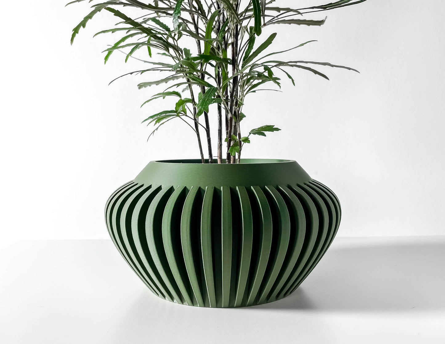 The Caios Planter