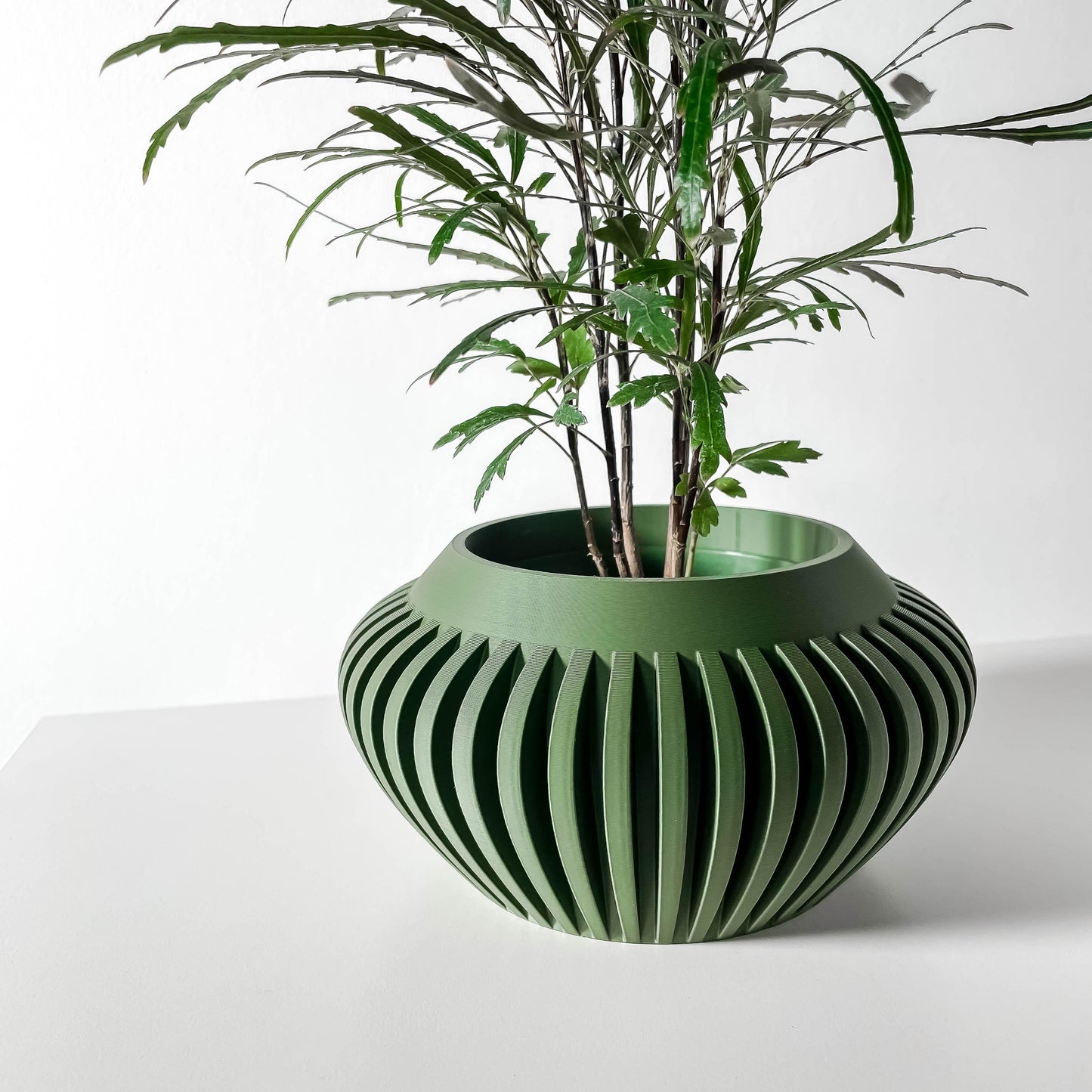 The Caios Planter