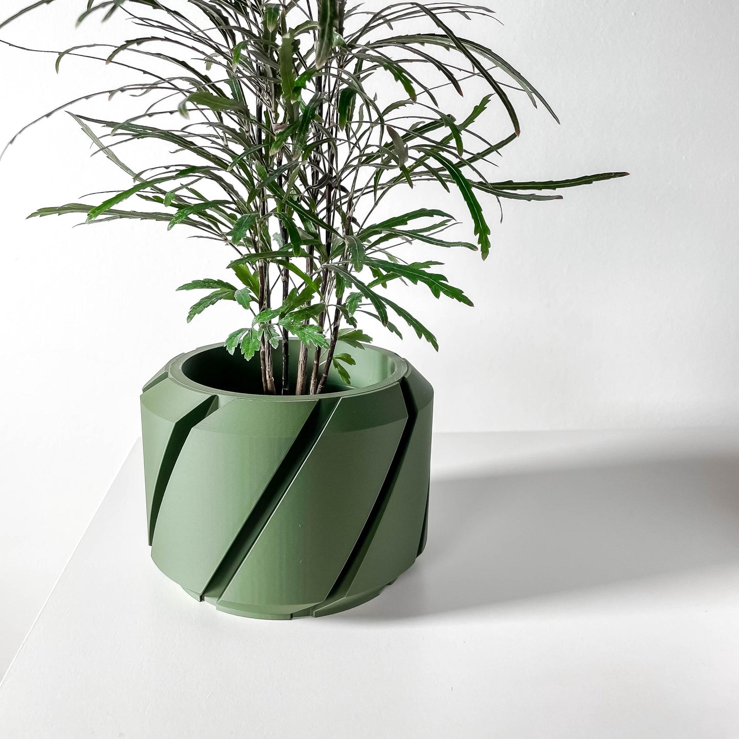 The Cens Planter