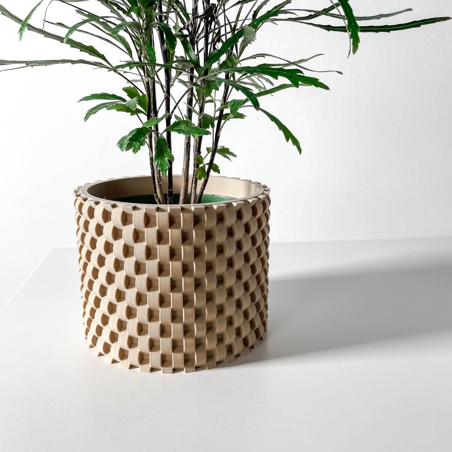 The Cheo Planter