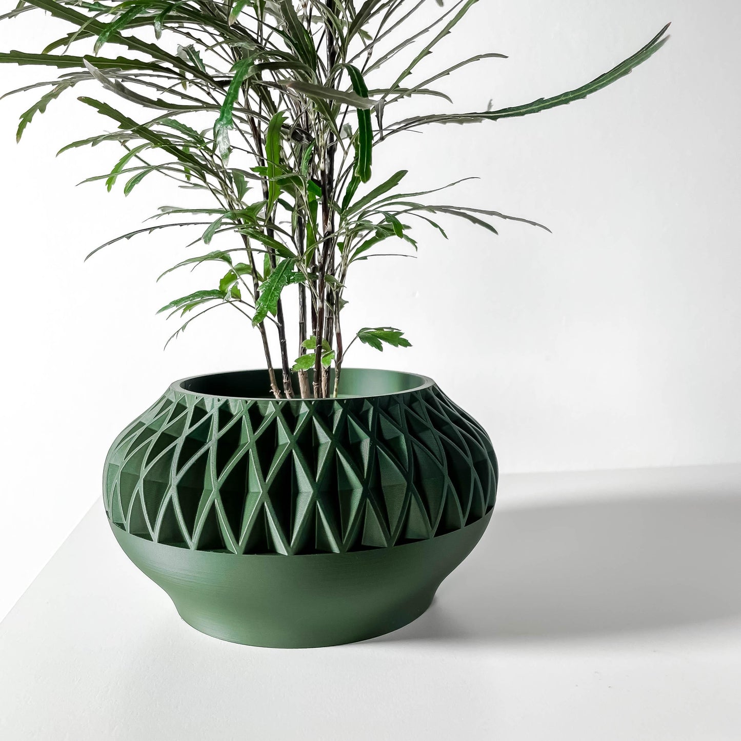 The Erso Planter