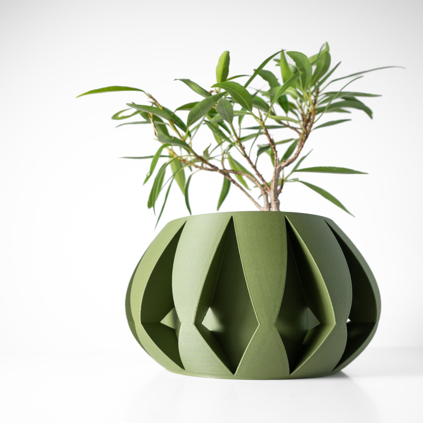 The Moki Planter