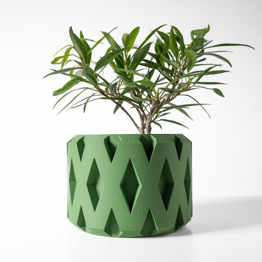 The Rano Planter