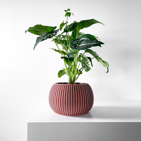 The Surno Planter