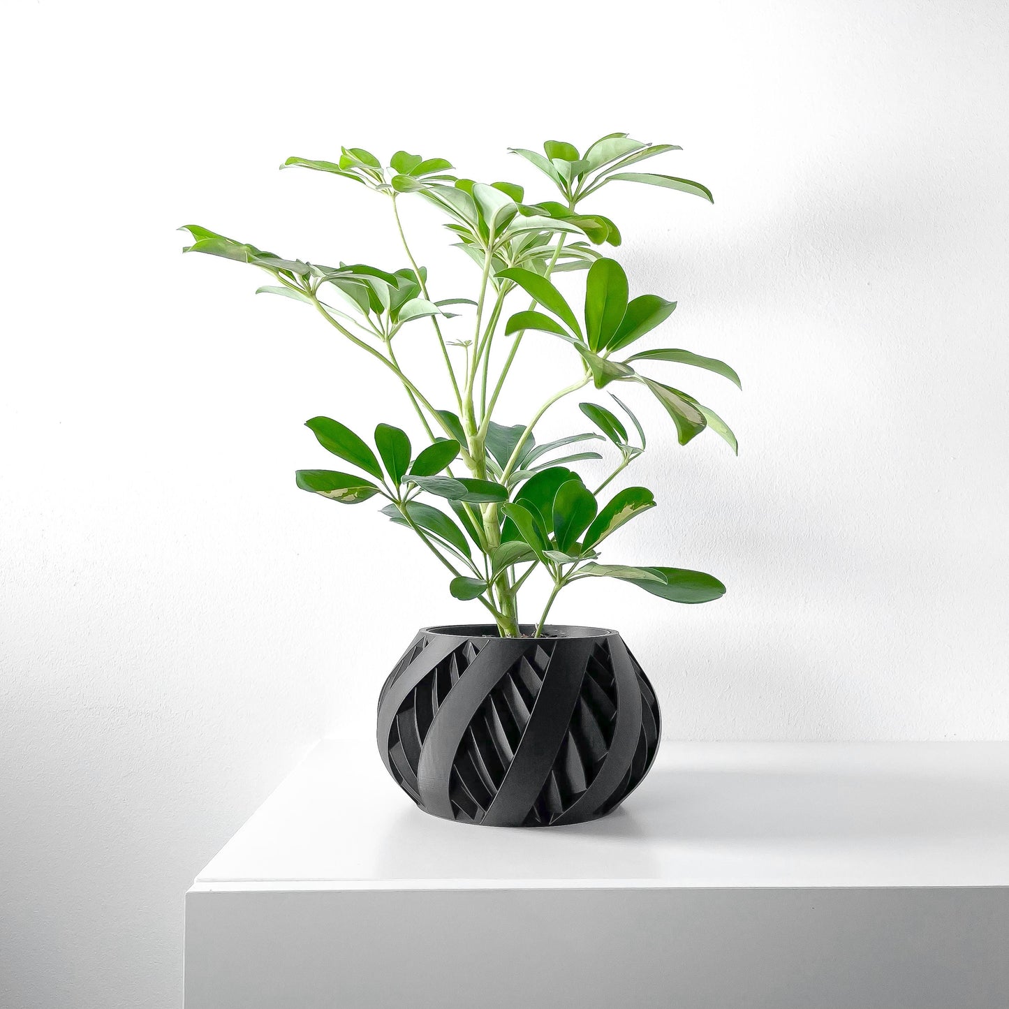 The Silvo Planter